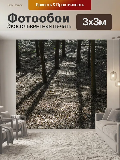 Фотообои лес