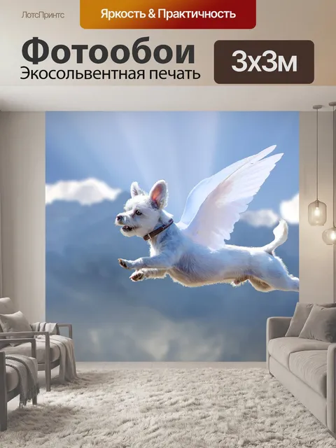 Фотообои Летающая собака