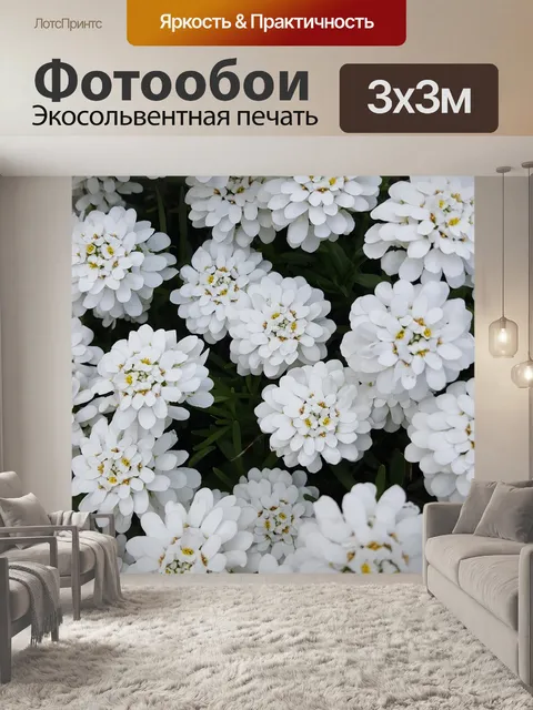 Фотообои Цветы
