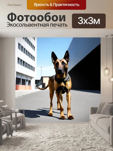 Фотообои изобразите бельгийскую овчарку малинуа, стоящую на городском фоне с современными зданиями