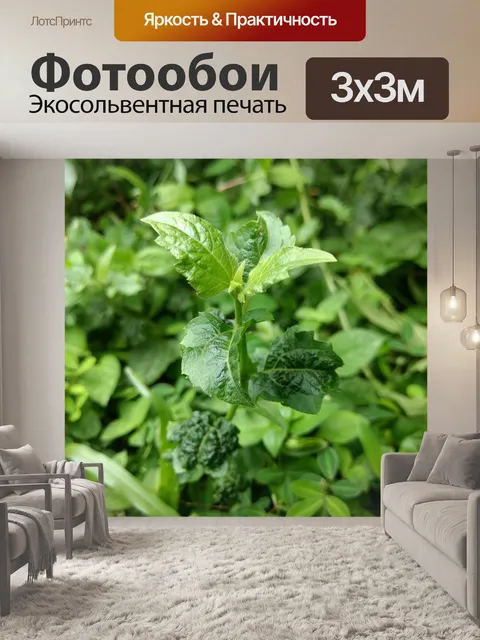 Фотообои Природа