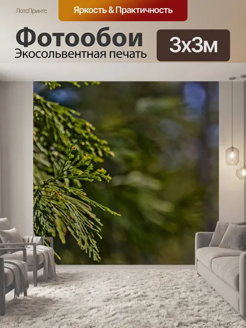 Фотообои Сосновая хвоя