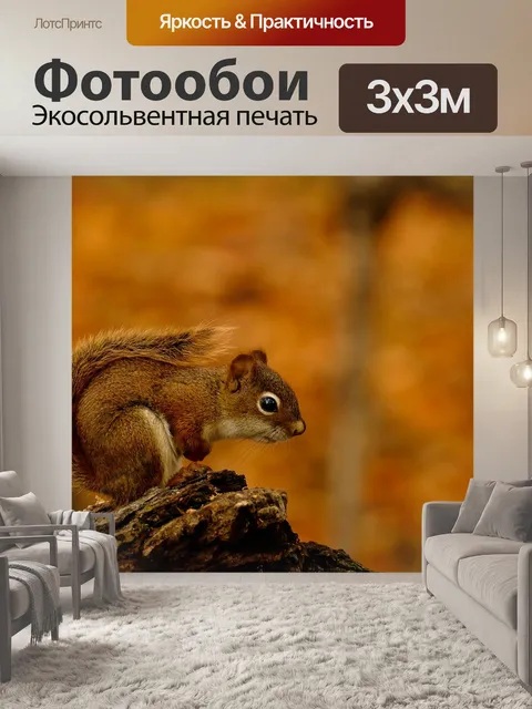 Фотообои Белка