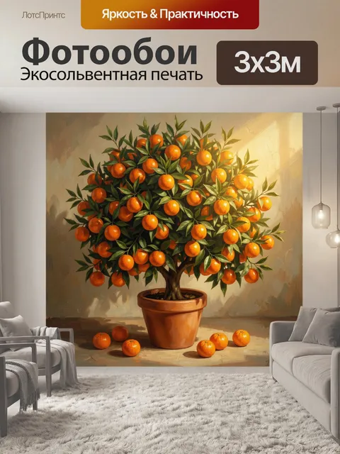 Фотообои Апельсиновое дерево в горшке