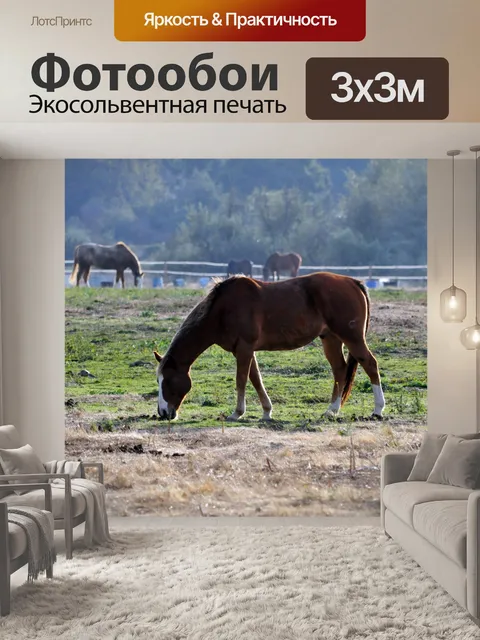Фотообои Лошади, пасущиеся