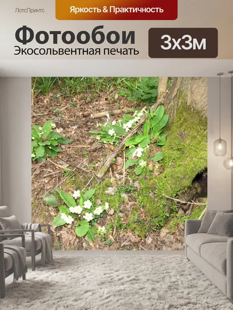 Фотообои Дикие Первоцветы
