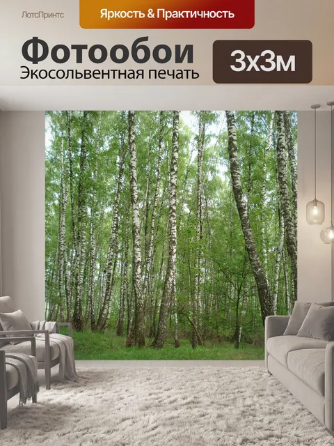 Фотообои Лес