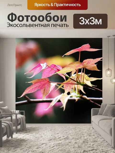Фотообои Лист