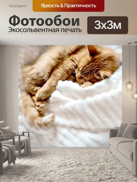 Фотообои Кошка