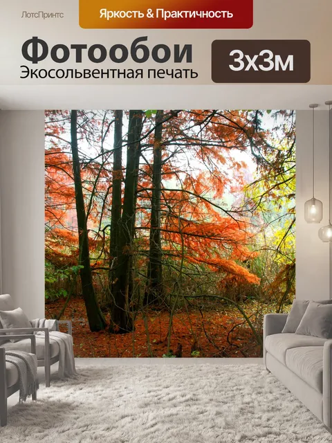 Фотообои Осень