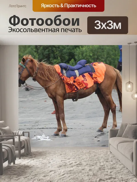 Фотообои Лошадь