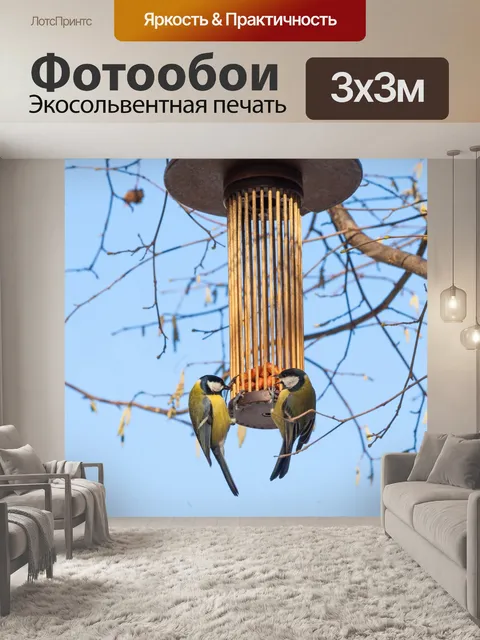 Фотообои большие сиськи на кормушке для птиц