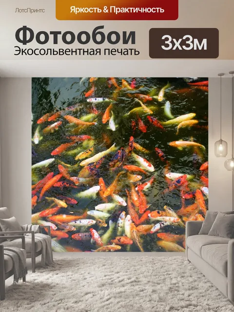 Фотообои Кои