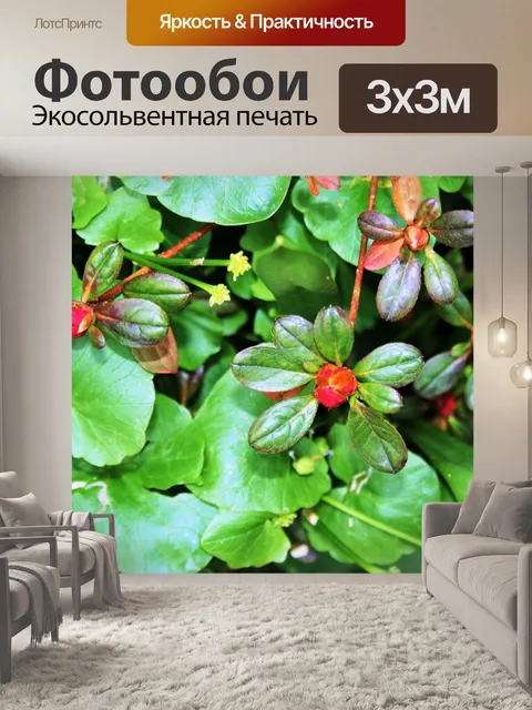 Фотообои розовые бутоны в Москве