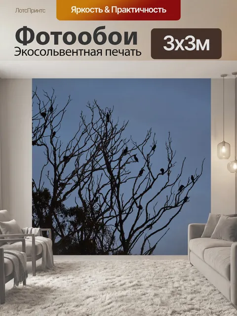 Фотообои Бакланы на деревьях