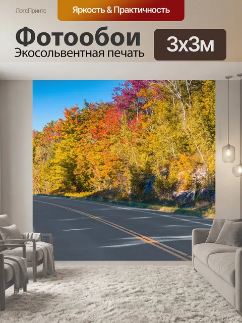 Фотообои Дорожные и осенние деревья