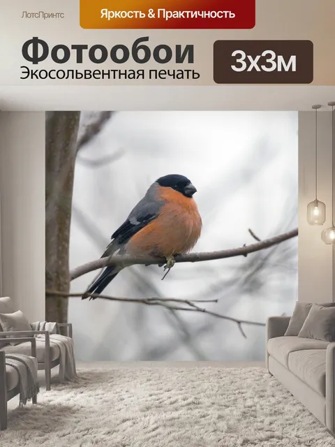 Фотообои Евразийский снегирь Птица