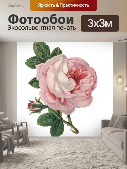 Фотообои Роза