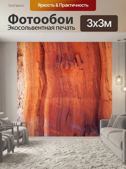 Фотообои Ствол дерева разделен на