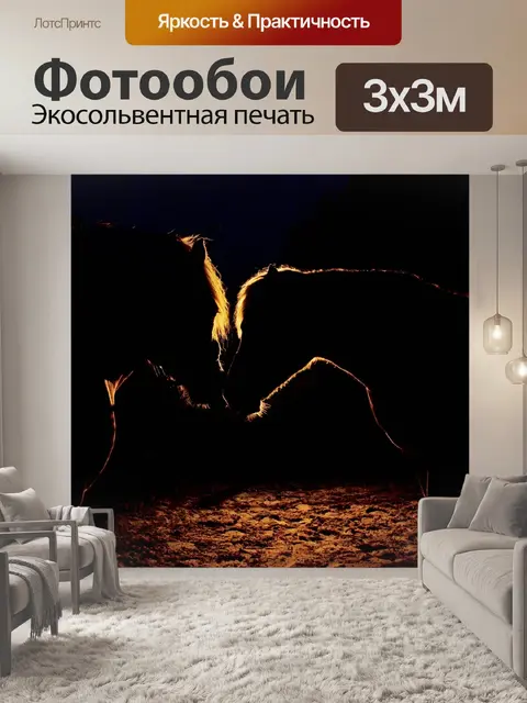 Фотообои Ночь