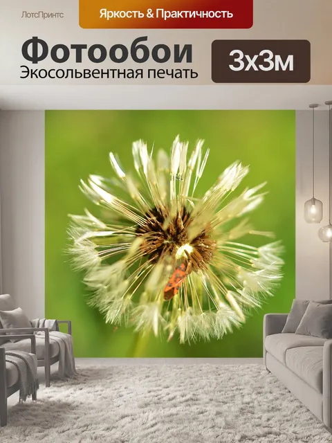 Фотообои Одуванчик