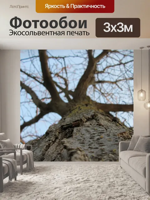 Фотообои Дерево Перспектива 11