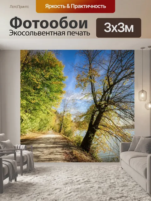 Фотообои Лес