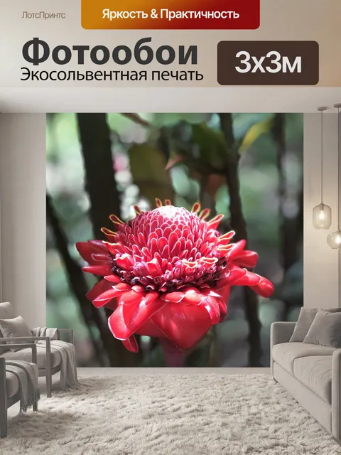 Фотообои Экзотика