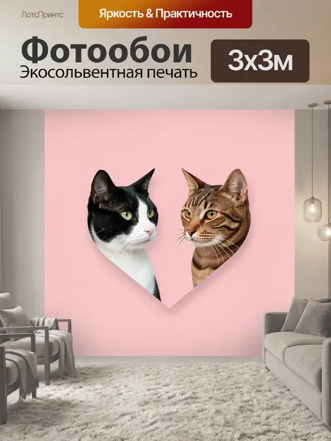 Фотообои Два кота в сердце