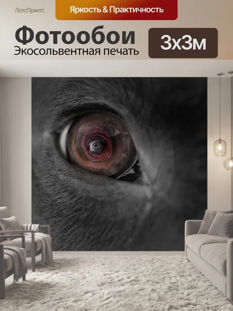 Фотообои Собака