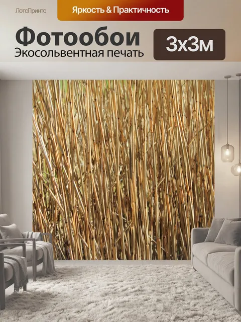 Фотообои Рид природа