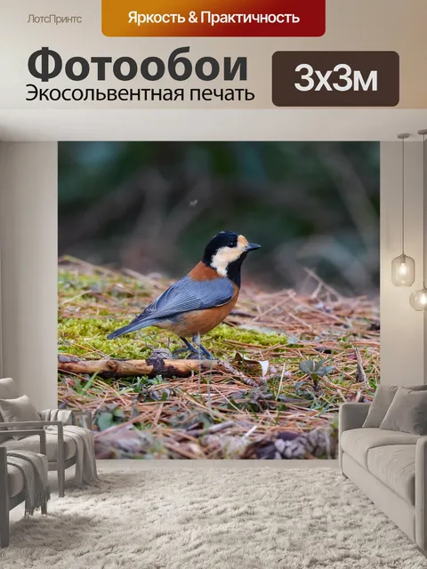 Фотообои Животное
