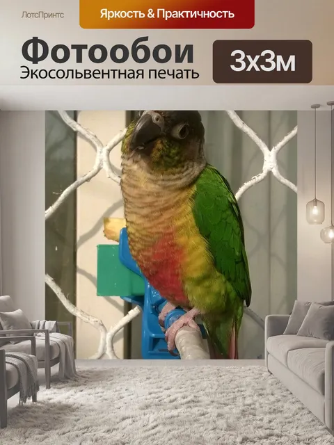 Фотообои Птица