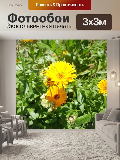 Фотообои Цветы