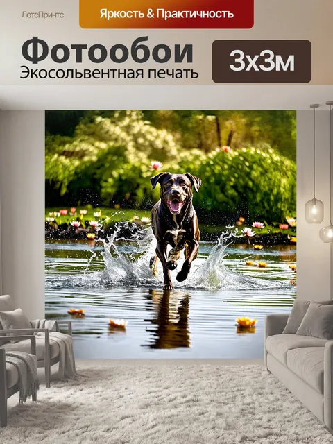 Фотообои лабрадор, покрытый грязью, весело бегает по озеру, его шерсть сверкает на солнце, создавая брызги воды…