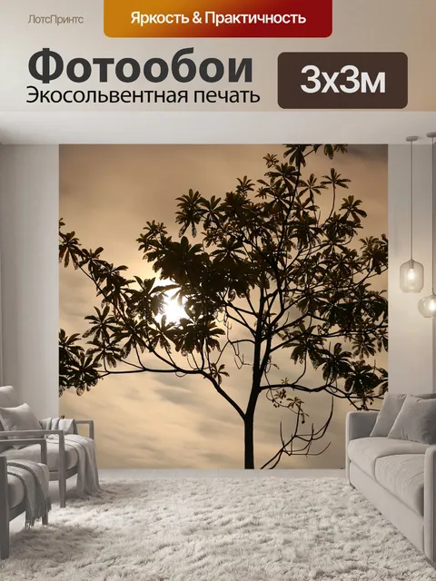 Фотообои Ночь