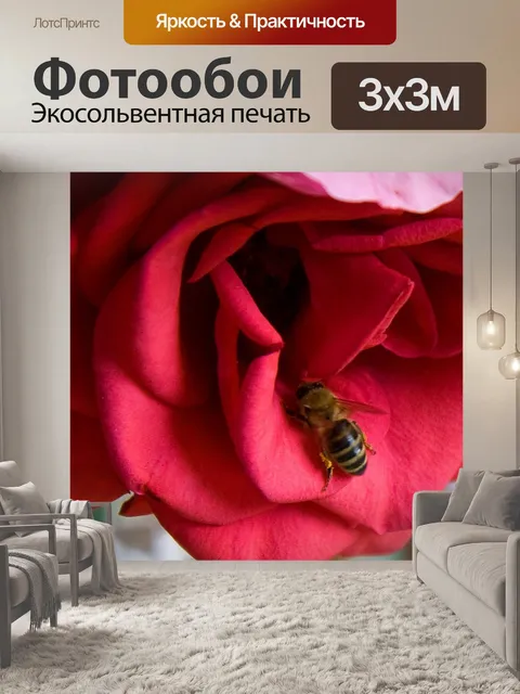 Фотообои Пчела