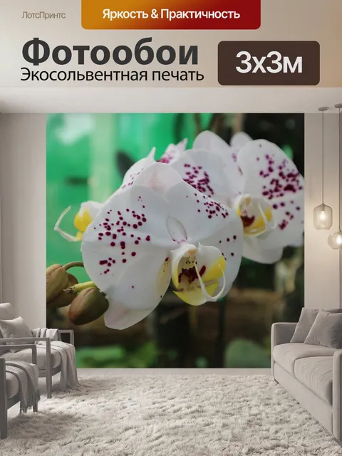 Фотообои Завод