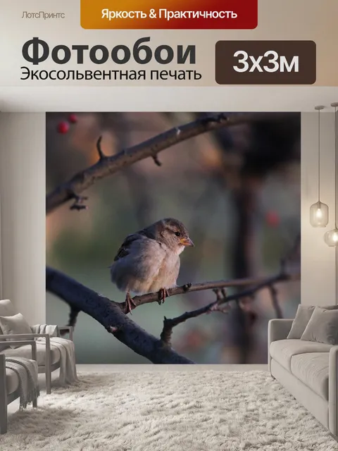 Фотообои Птица