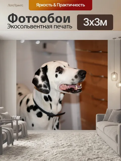Фотообои Кошка