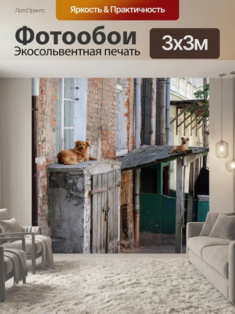 Фотообои Собака