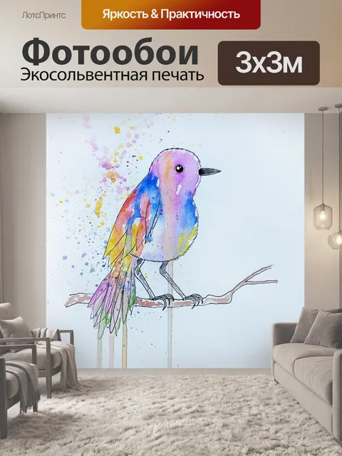 Фотообои птица, перья, маленькая птица, фауна,