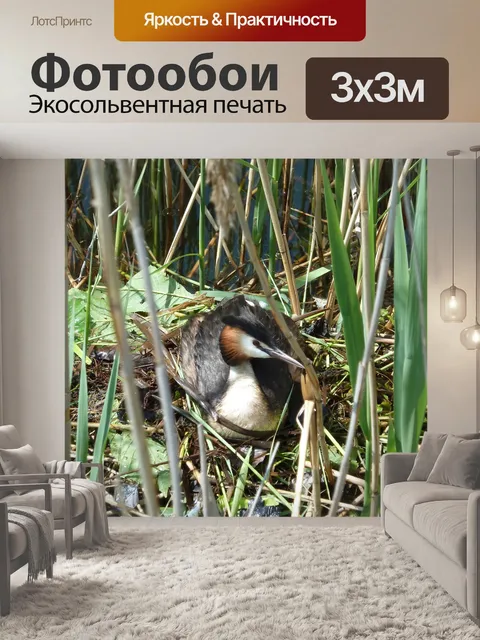 Фотообои Озеро