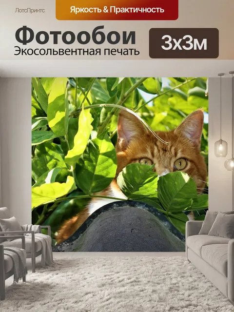 Фотообои Природа
