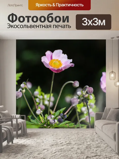 Фотообои Цветы