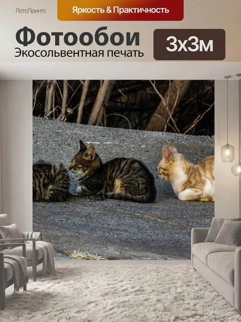 Фотообои Кошки