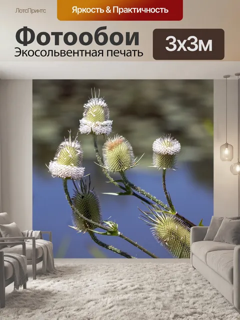 Фотообои Цветы