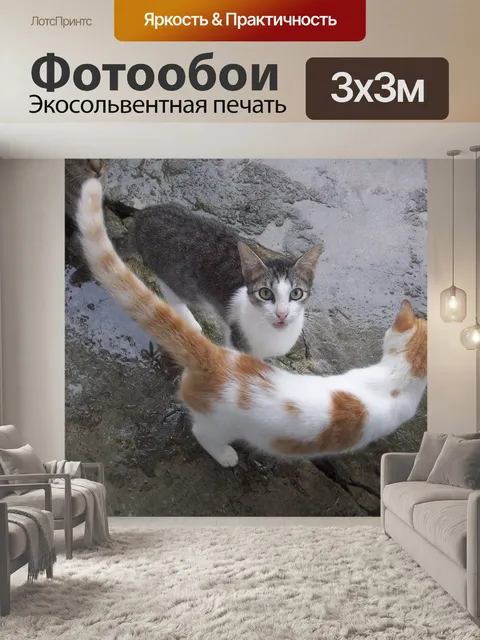 Фотообои Кошки