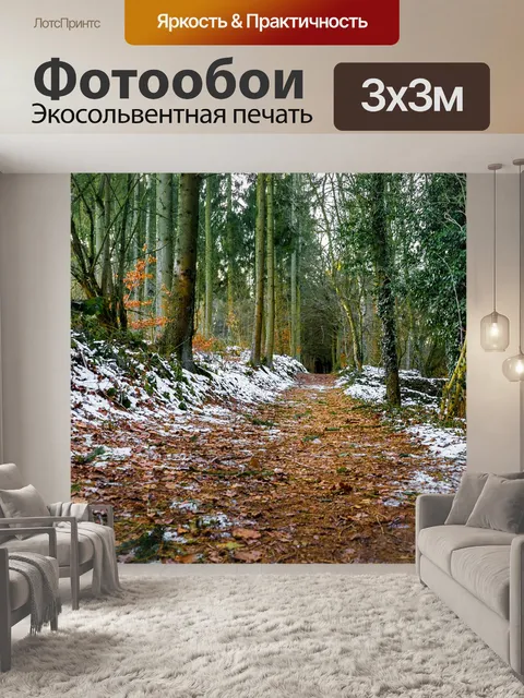 Фотообои Лес