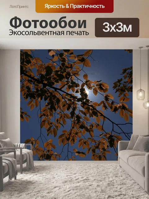 Фотообои Листья